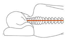 st_spine