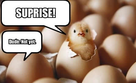 surprise