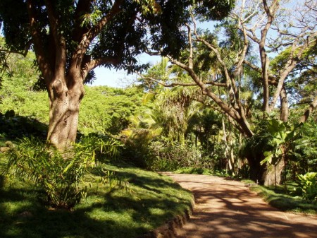 garden_walk