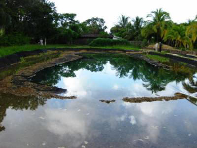 swimmingpond