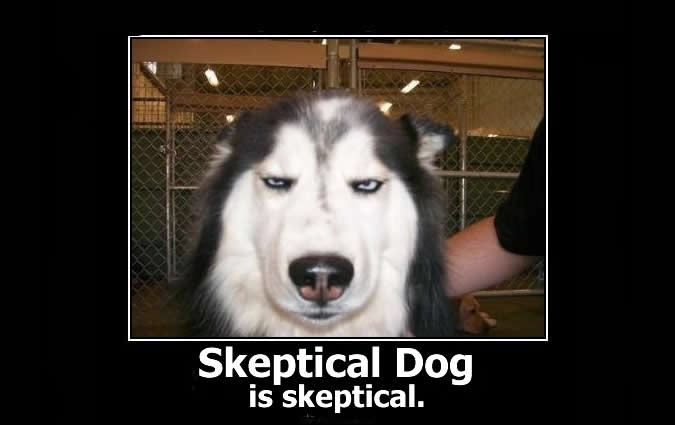 skeptical_dog1.jpg