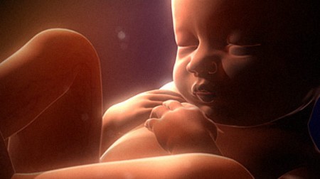 babywomb